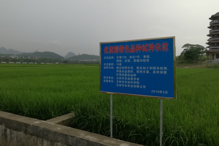 试验田12