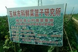 玉林城北高山蔬菜种植基地