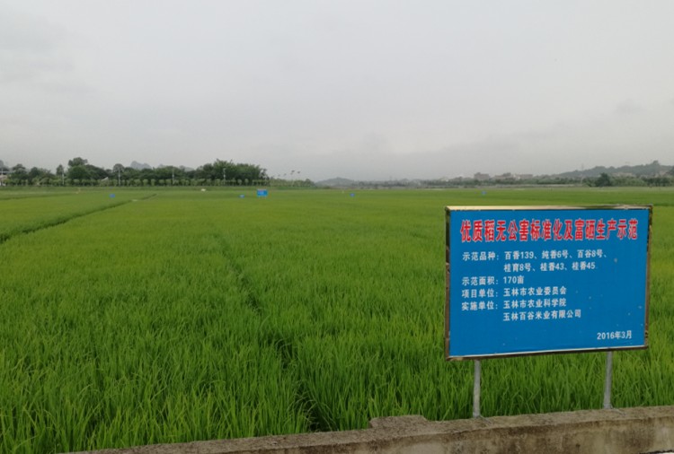 试验田13