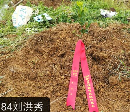刘洪秀.jpg