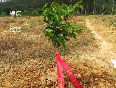 韦瑞刚.jpg
