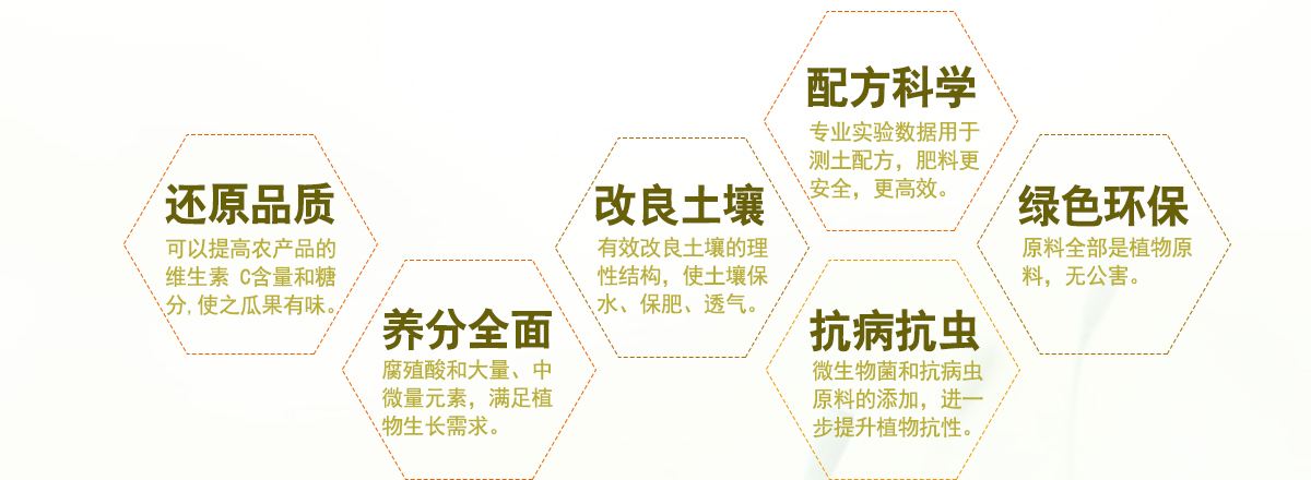 网站页面4.jpg