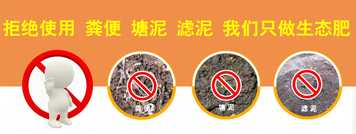 网站页面动画.gif